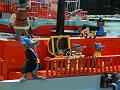 Legoland (11)